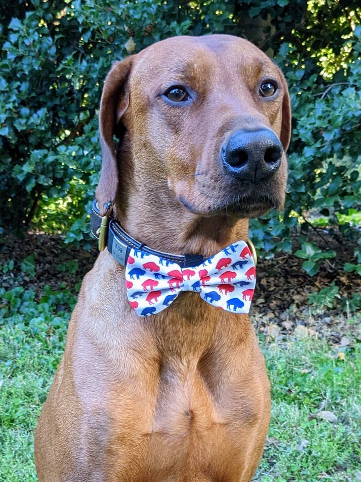 Buffalo Bow Tie - Football Collection for wholesale by Koa's Ruff Life