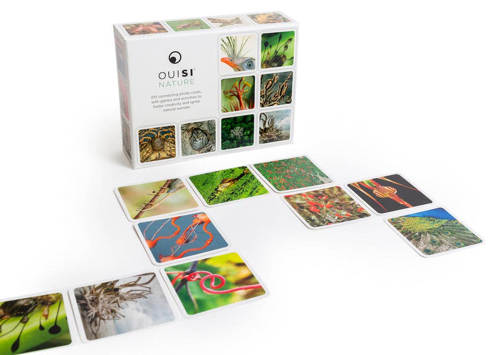 OuiSi - Wholesale Card Game - OuiSi Nature: Games of Visual Connection6