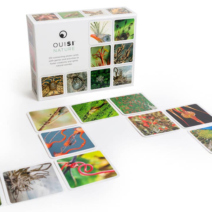 OuiSi - Wholesale Card Game - OuiSi Nature: Games of Visual Connection6
