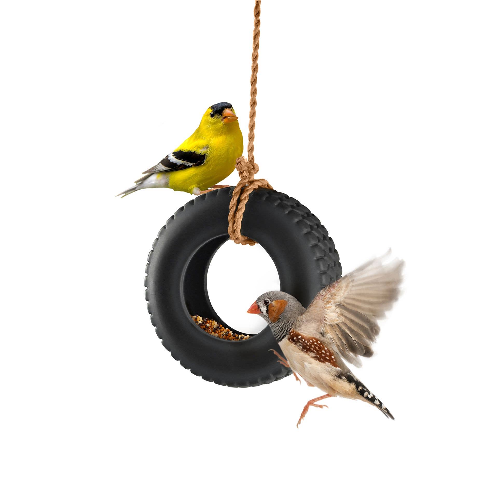 WIDDOP and Co. - Wholesale Learning Cards - Kids & Baby - Fred Swing Time - Novelty Tire Swing Bird Feeder3