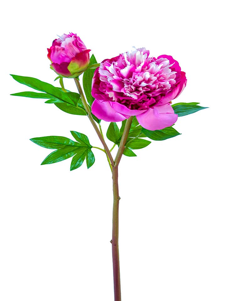 American Best - Vente Fleurs artificielles - PIVOINE À VOLANTS FRESH TOUCH 26"1