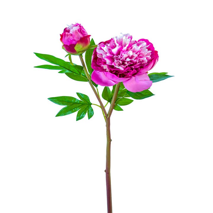 American Best - Vente Fleurs artificielles - PIVOINE À VOLANTS FRESH TOUCH 26"1