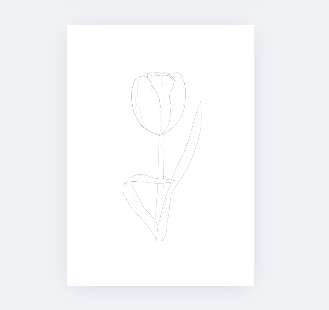 Sarah Ruth Frey - Wholesale DIY Craft Kit - Flowers Watercolor Kit2