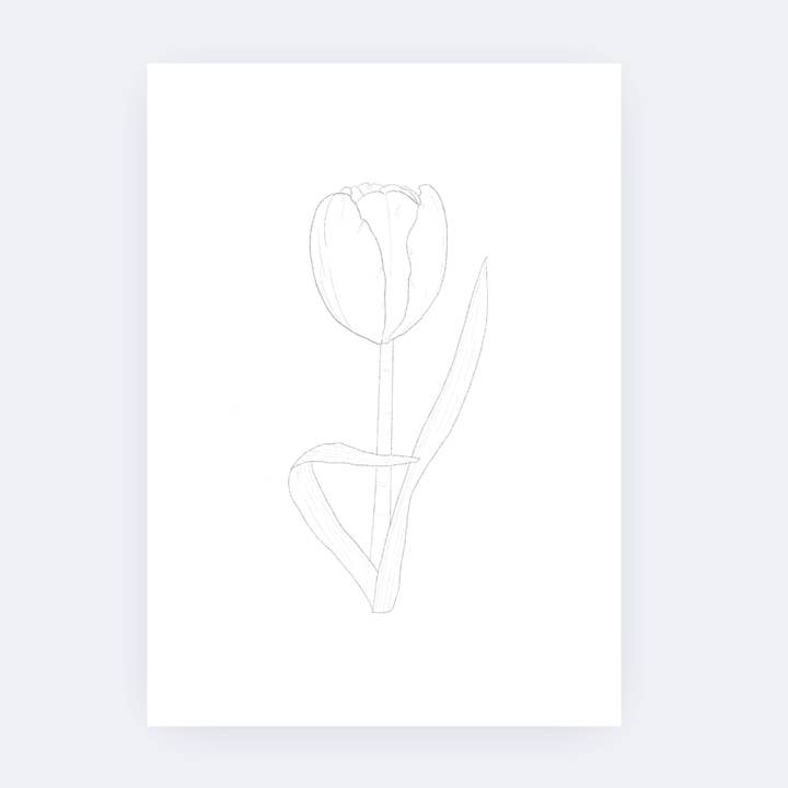 Sarah Ruth Frey - Wholesale Sketchbook/Sketchpad - Flowers Paintable Pages | Watercoloring Set5