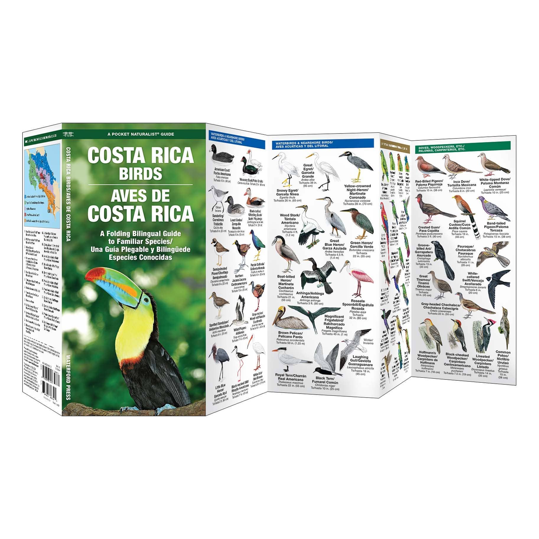 REMOVED BRAND - Wholesale Nature & Outdoors - Costa Rica Birds/Aves de Costa Rica Nature Guide1