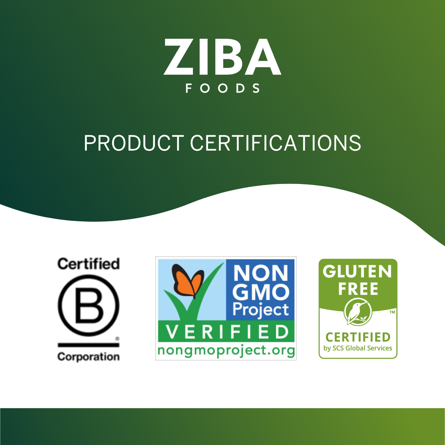 Ziba Foods – Großhandel Nüsse – Süße Aprikosensamen (trocken geröstet und gesalzen), vegan 5 oz10