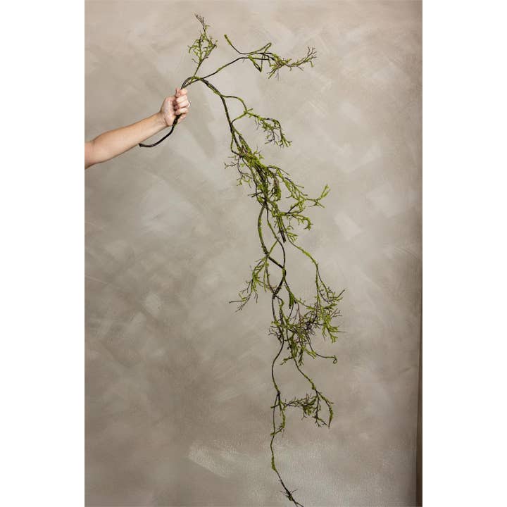 Guirlande - Mosset Kvist Vin (Pk/06) for engroshandel hos Audrey's Home & Gift