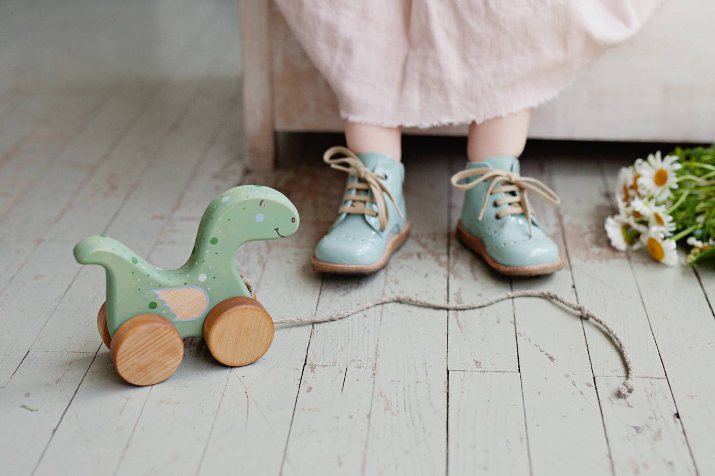 Friendly Toys - Wholesale Wood Toy - Kids - Handcrafted Birch Wood Dinosaur Pull Toy4