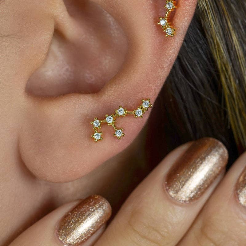 StockJWL - Wholesale Stud/Post Earrings - 12 Zodiac Earrings, Constellation Stud Earring Stud Piercing Tragus Helix Lobe and Cartilage Silver And Gold29