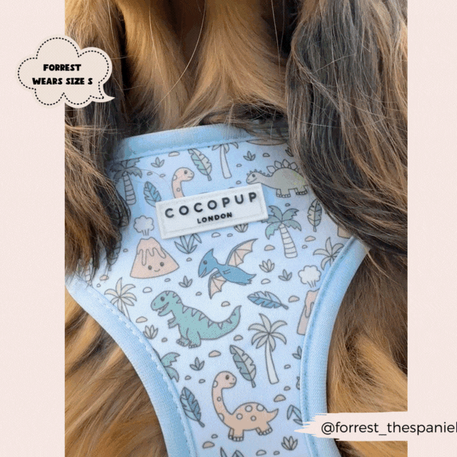 Cocopup London - Venta al por mayor Arnés - Perros - Arnés ajustable para cuello Dinopaws18