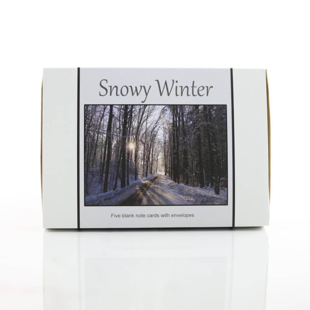 New England Prints - Wholesale Stationery/Notecard Set - Box of 5 All Occasion New England Winter Blank Note Cards3