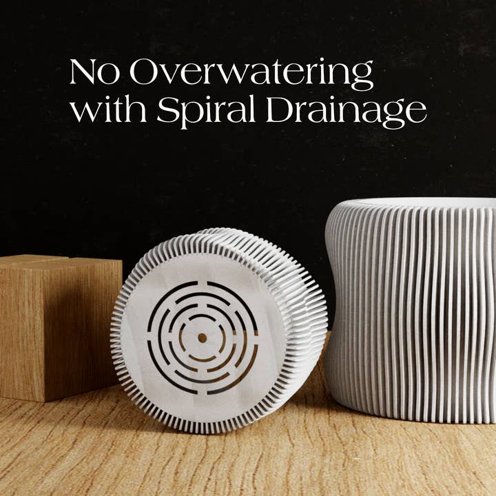 Modernized Pottery - Wholesale Plant Pot - BUBBLY Planter | Modernized Pottery