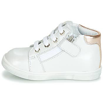   ALEXA for wholesale on Faire3