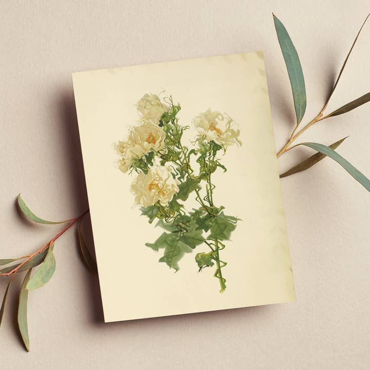 Vintage Flowers Card for wholesale by The Galek Sea