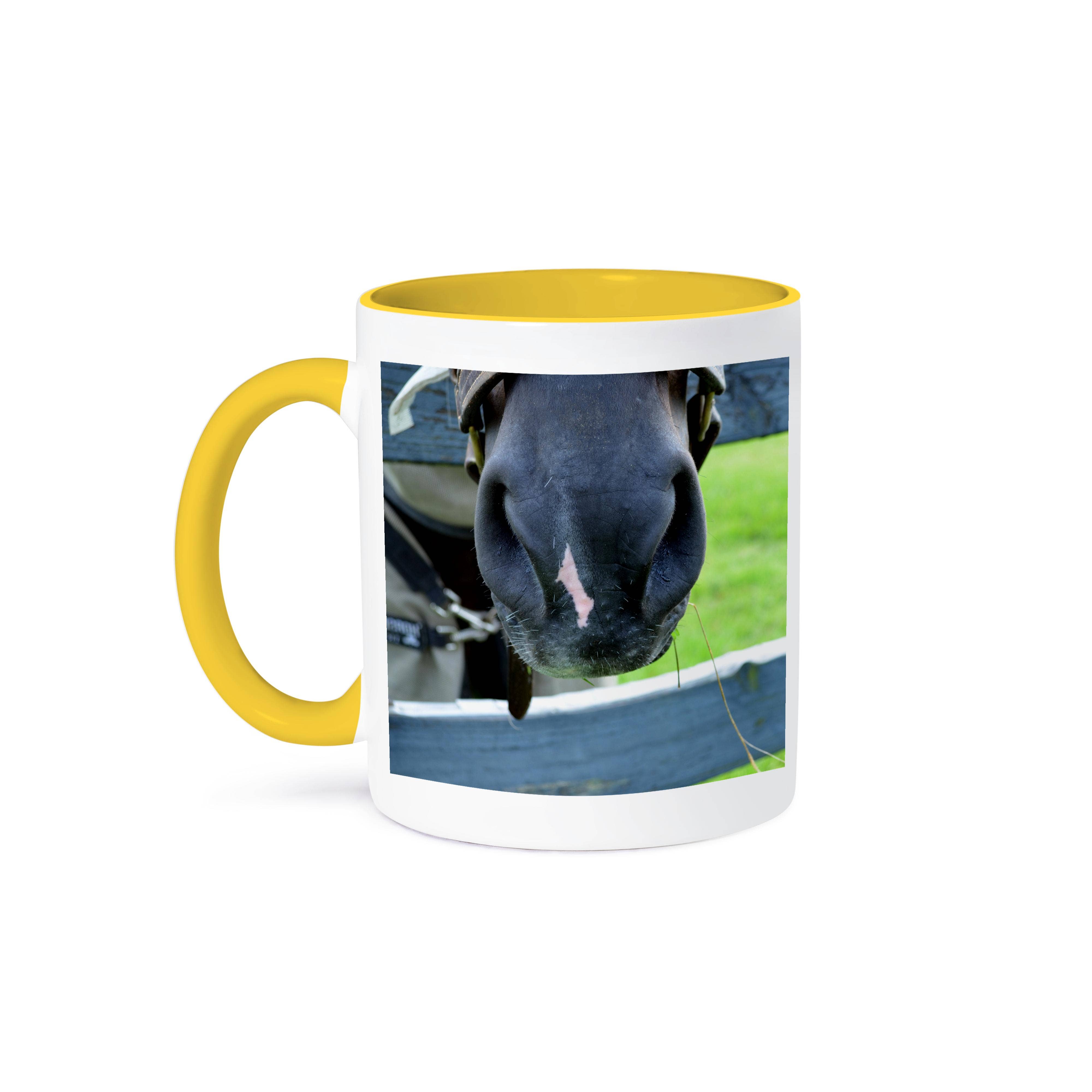 3dRose – Engroshandel Kaffekrus – 3dRose, hestemule med høhegn, krus0