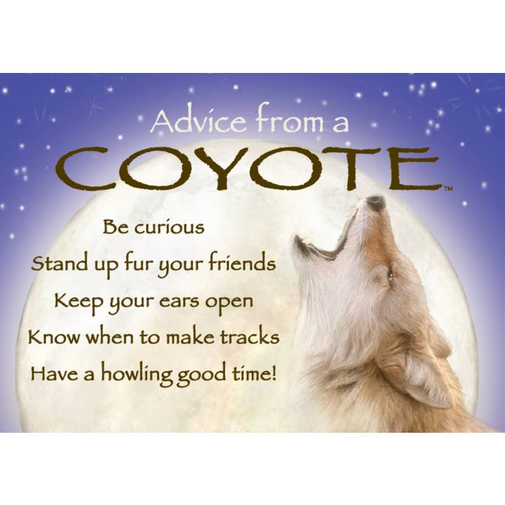 Advice from a Coyote Jumbo Magnet for wholesale by Advice for Life by Your True Nature