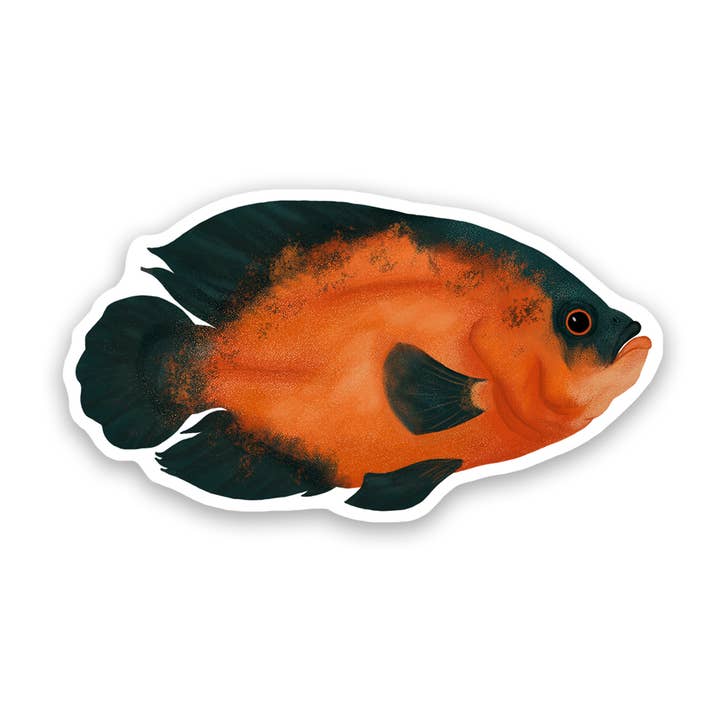 Oscar Fish Vinyl Sticker Decal for wholesale by Proper Wolf