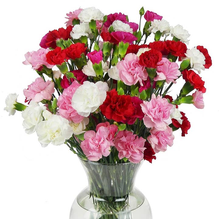 UniqueMartandHome - Wholesale Artificial Flowers - 20 Stems Rainbow Mini Carnations (Glass Vase Included) - Fresh Flowers for any occasions (Copy)0