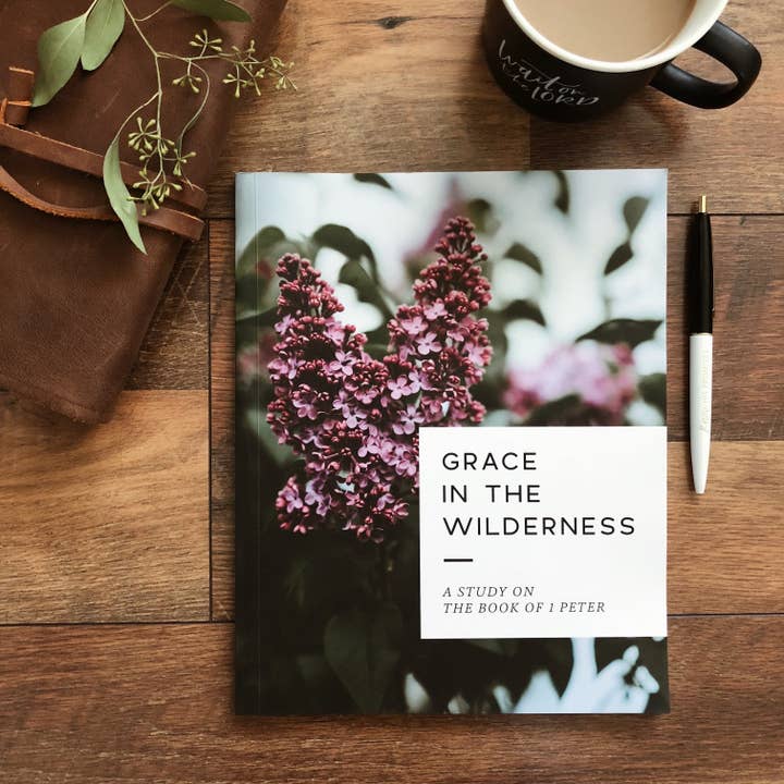 Grace in the Wilderness - Study on 1 Peter for wholesale by The Daily Grace Co
