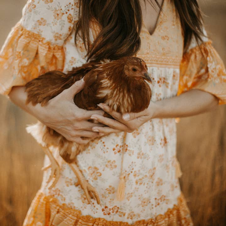 Nya Rose - Wholesale Dress - Women's - Celia Mini1