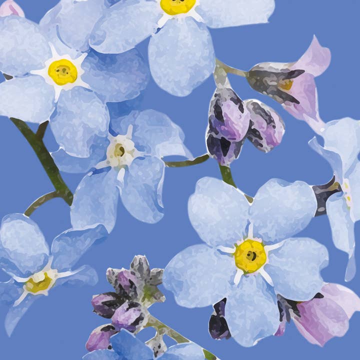 Glem mig ikke hverdagskort, engelsk blomsterhave for engroshandel hos Dyson Design