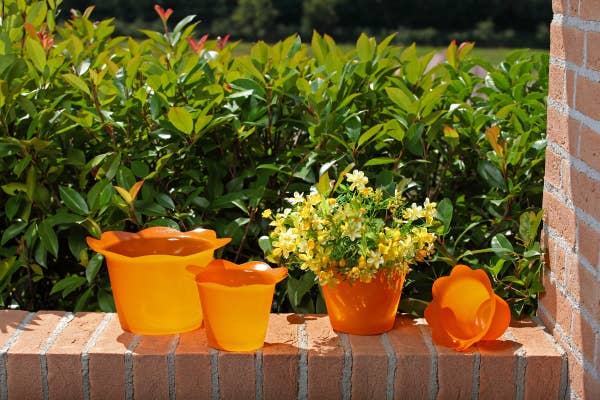 B&P Italia - Wholesale Plant Pot - Colourful cheap pot covers1