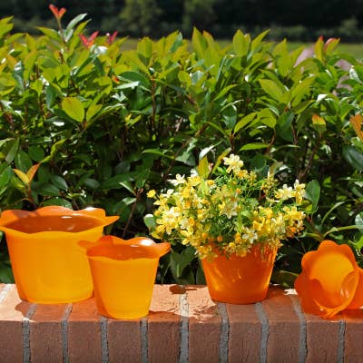 B&P Italia - Wholesale Plant Pot - Colourful cheap pot covers1