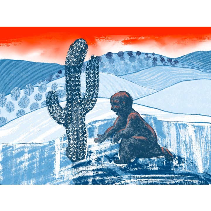 Desert Adventures para venta al por mayor de Postcards From Within