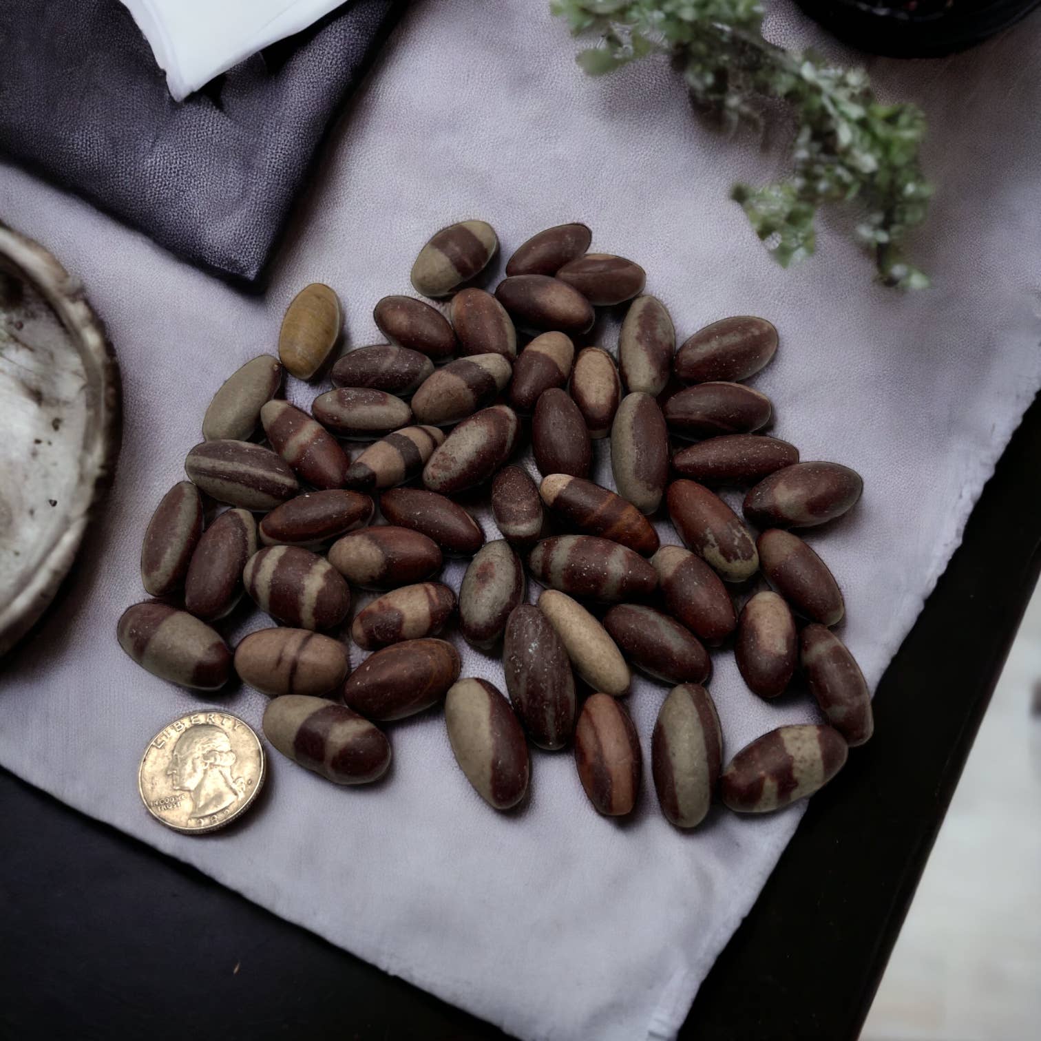 Crystals of India - Wholesale Spiritual Stone/Crystal - Shiva Lingam X-Small - 50 pcs1