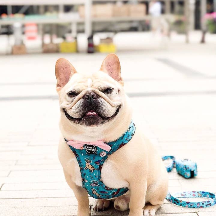 Woof & Wonder - Wholesale Pet harness – Dog - Blue Dogs in Outer Space Adjustable Dog Harness3