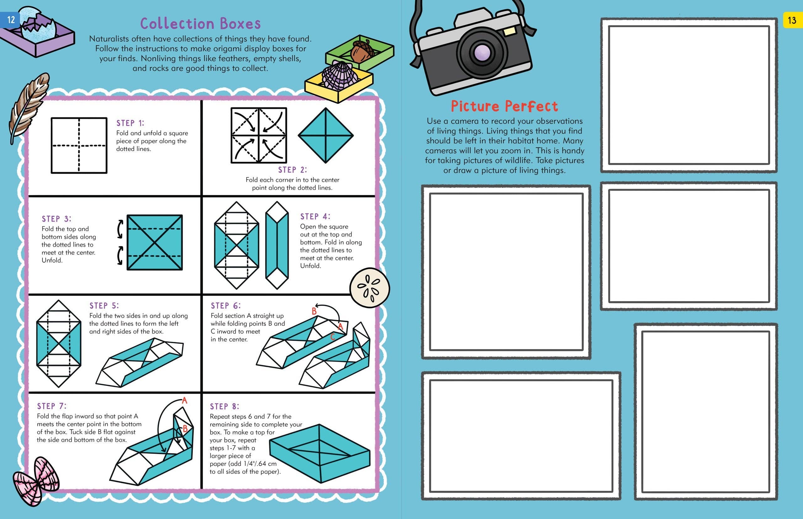 Peter Pauper Press - Wholesale Coloring & Activity Book - Kids & Baby - The Nature Explorer's Activity Book5