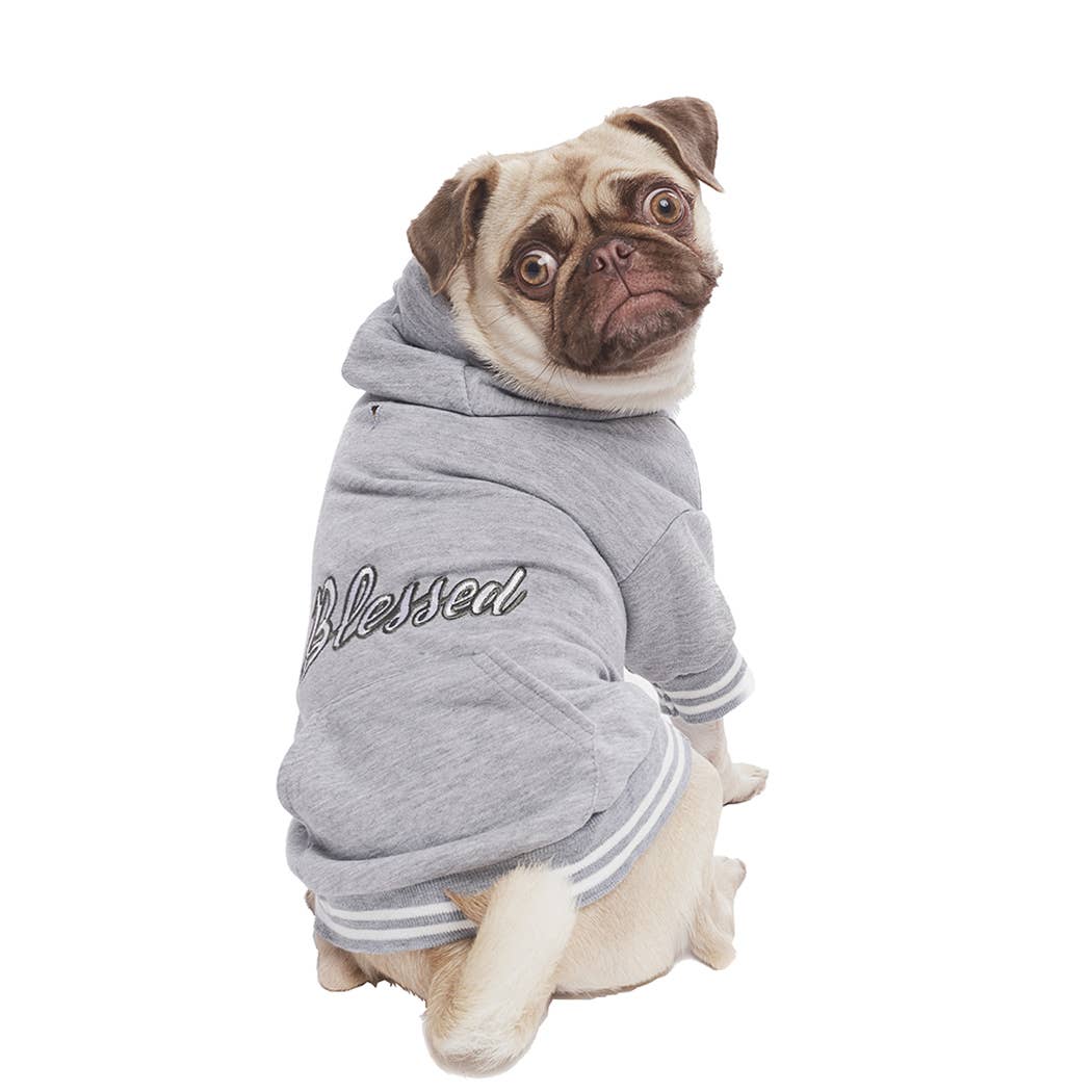 Parisian Pet® - Wholesale Pet Hoodie - Dog - Blessed Hoodie – Comfortable & Fashionable Dog Outfit4