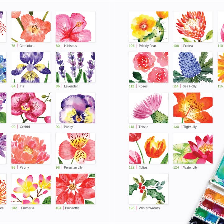 Better Day Books - Wholesale Arts & Entertainment - Watercolor the Easy Way Flowers : Tutorials for Flowers2