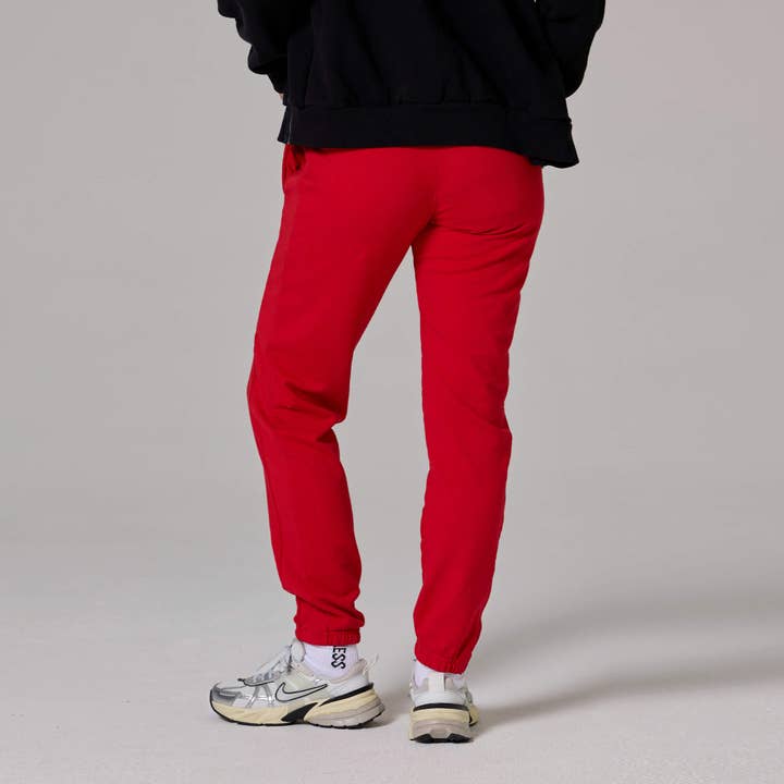 Talentless - Wholesale Athletic Sweatpants/Joggers - Women's - WOMENS STRIPED SWEATPANTS2