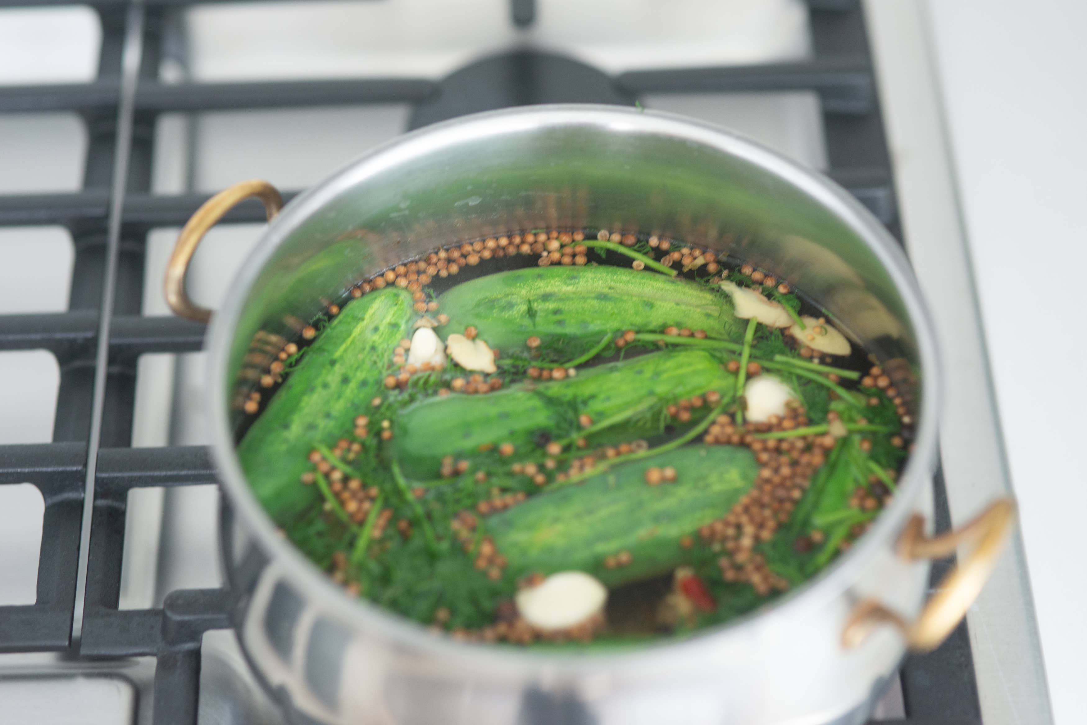 Greenpoint Trading - Wholesale Dried Spice Mix - Pickling Spice1