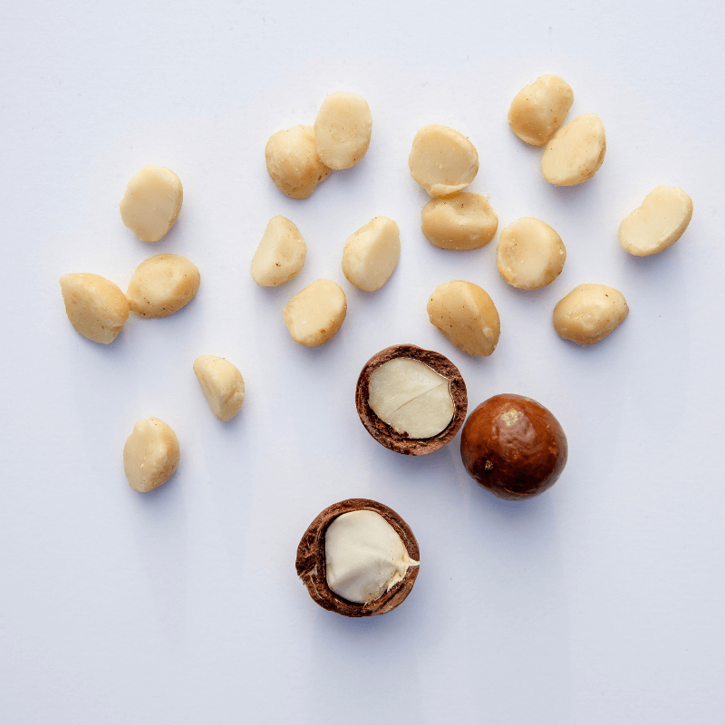 Island Harvest - Vente Noix - Macadamias biologiques au sel de mer (8 oz)1