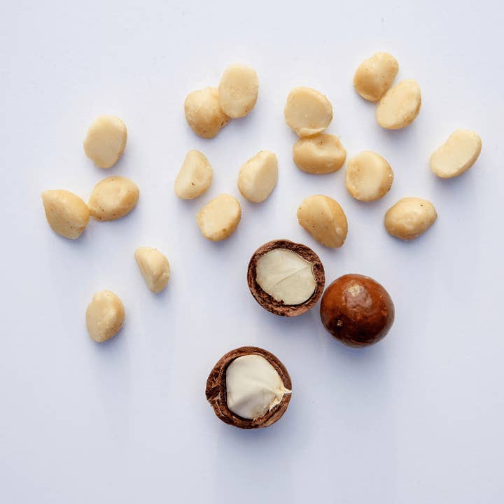 Island Harvest - Wholesale Nuts - Organic Macadamias with Sea Salt (8oz)1