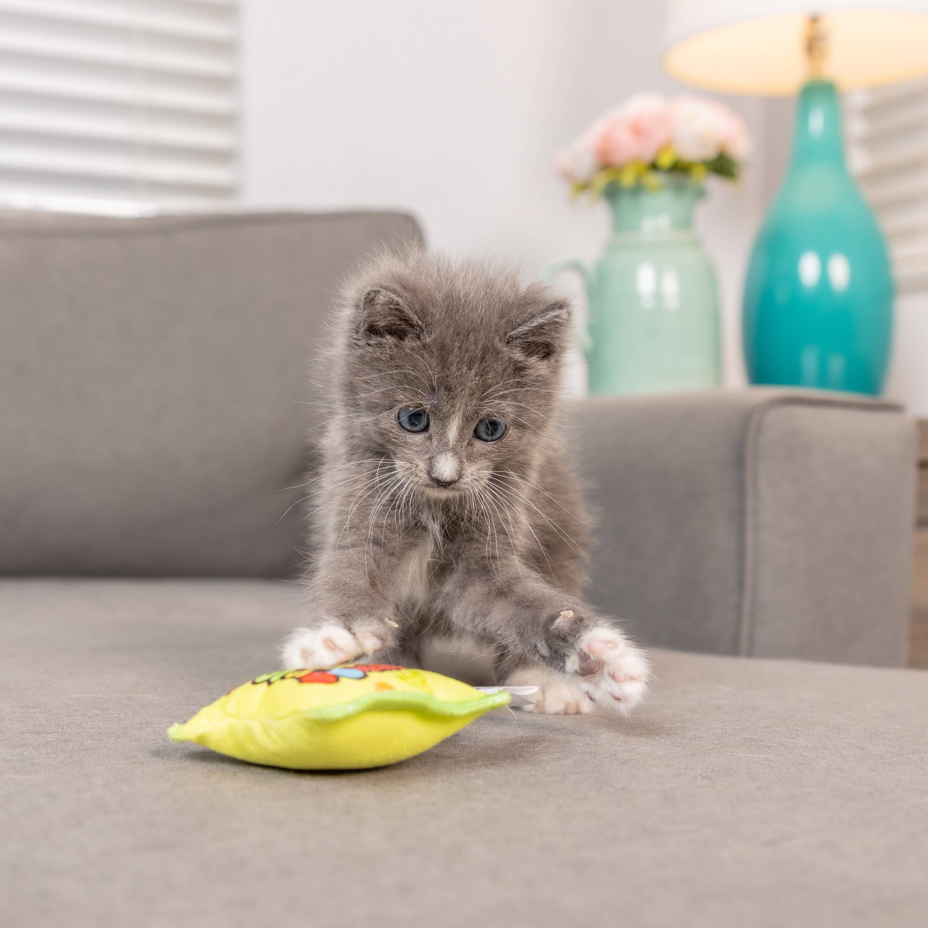 Huxley & Kent - Wholesale Speeltje - Kat - Zure Scratch Kats Katten Speelgoed2