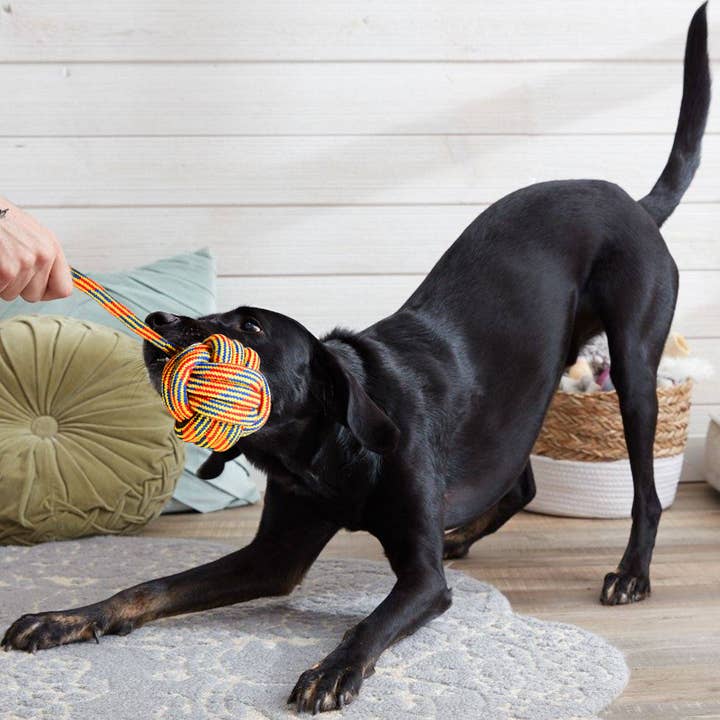 Youngever - Wholesale Pet Rope Toy - Dog - Youngever 6 Pack Large Dog Rope Toys, XL Dog Chew Toys3