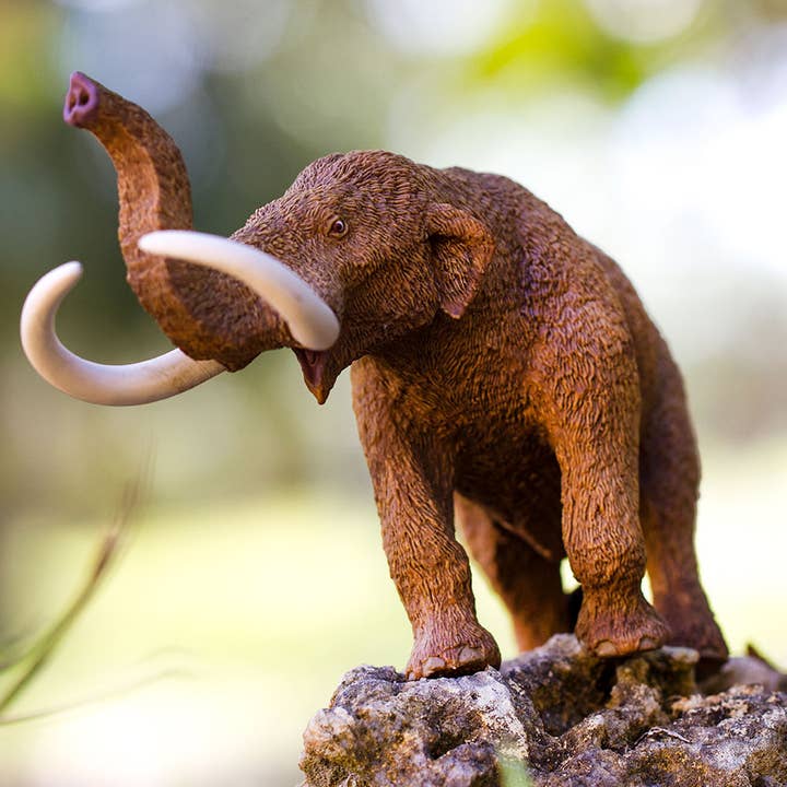 Safari Ltd. - Wholesale Figurine Toy - Kids - American Mastodon - Kids' Figurine Toy8