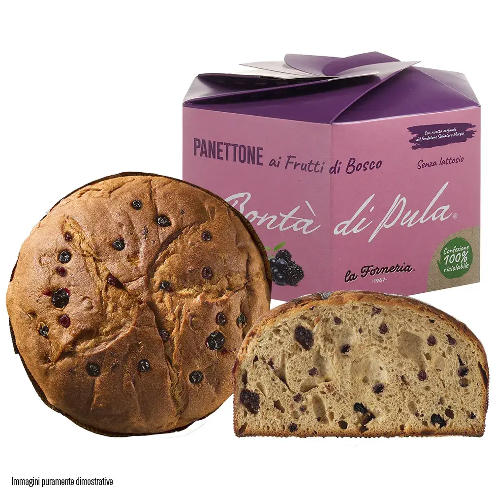 La Forneria di Pula - Wholesale Cake - Bessen Panettone 750 g1