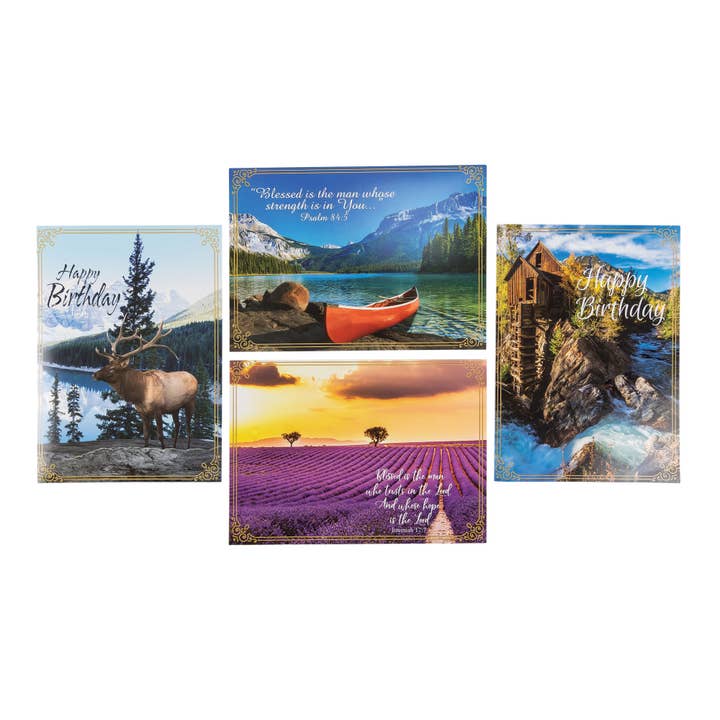 Divinity Boutique - Wholesale Birthday Card - Boxed Cards: Birthday For Him, Canoe, Elk, River and Field