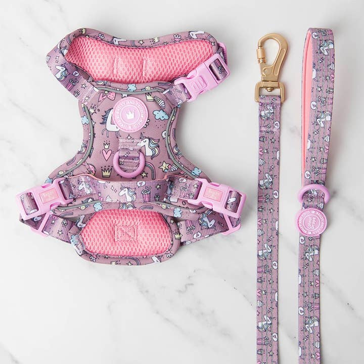 Trail & Glow Dog Harness & Lead Set - Colour Drops - Be Unique for wholesale by Bailey and Coco
