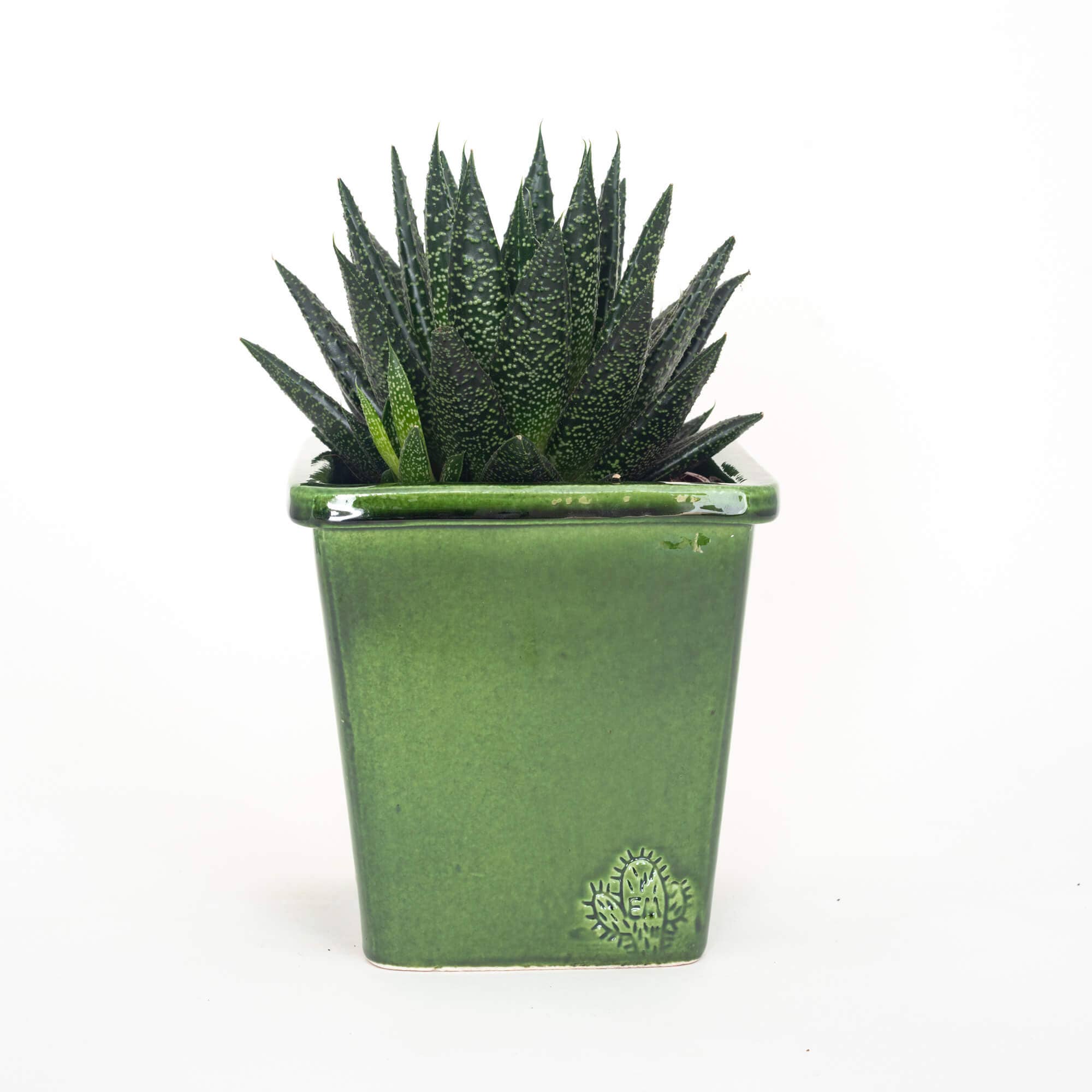 Vasos Quadrados by EM – Engroshandel Plantekrukke – Medium firkantet vase 14x14 cm - blank42