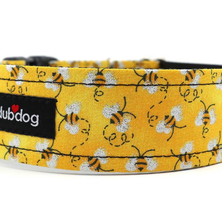 Dubdog Designs - Wholesale Pet Collar - Dog - Buzz Dog Collar