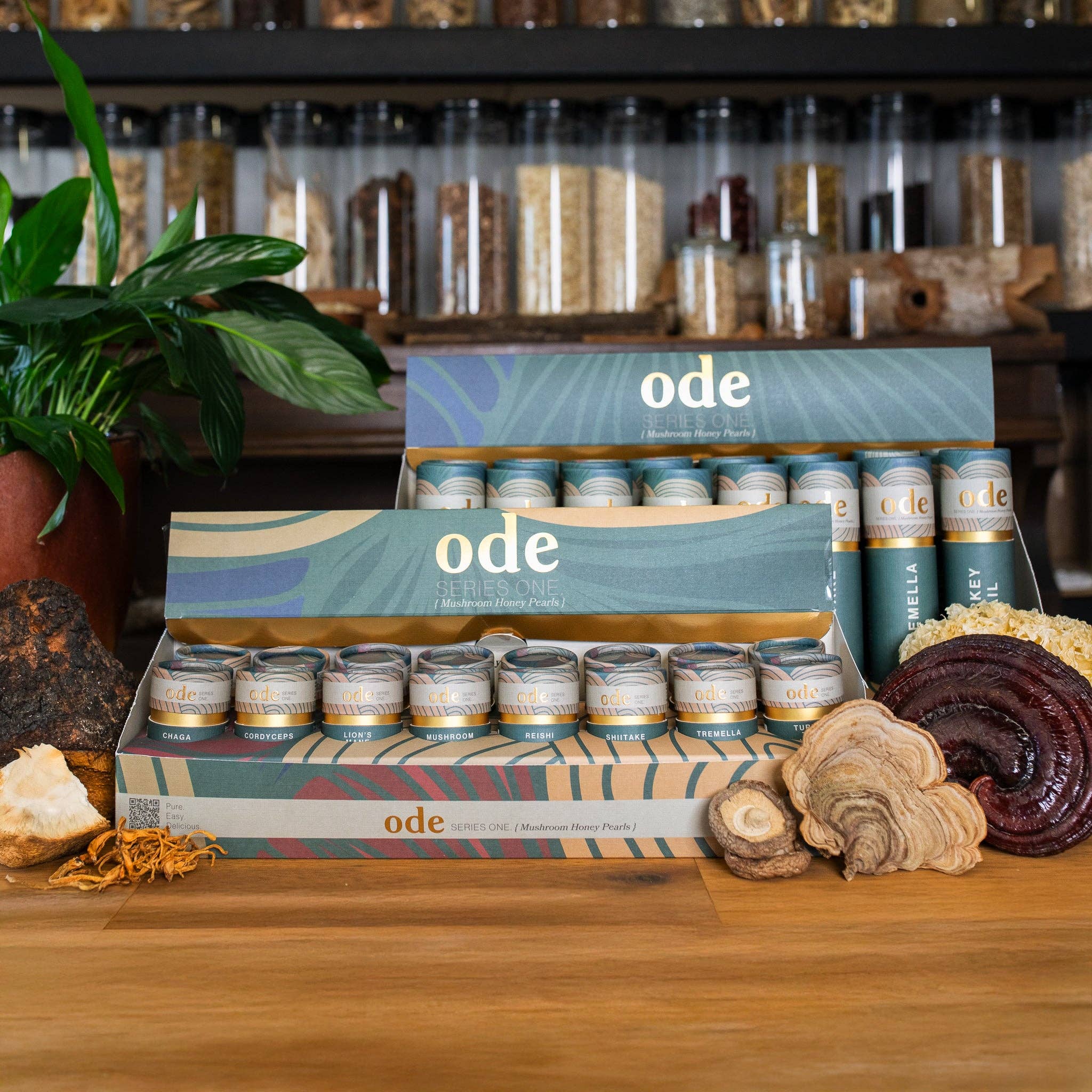 Ode Health - Wholesale Oral Supplement/Vitamin - MUSHROOM HONEY PEARL MIXED BOX (16 Tubes)5