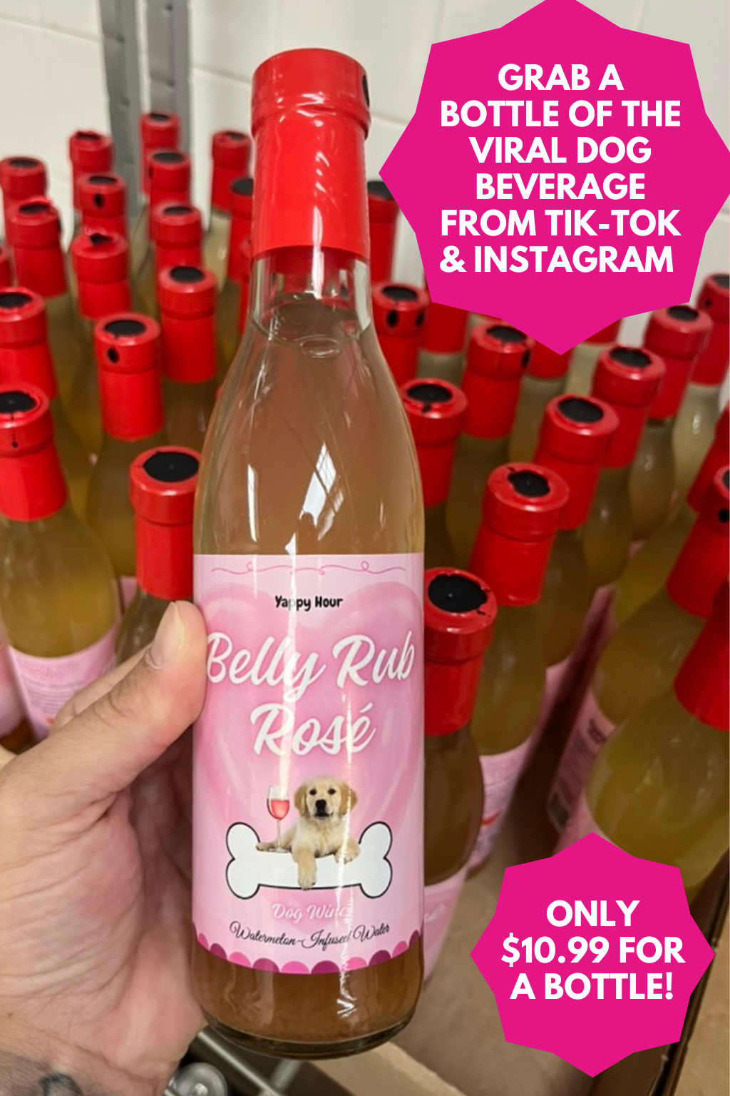 Yappy Hour - Wholesale Pet Treats - Dog - Belly Rub Rosé Dog Wine | 6ct | Watermelon5