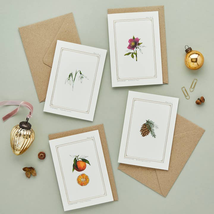 Catherine Lewis Design - Wholesale Christmas Card - Box of 8 Christmas Cards - Botanist Archive: Festive Edition5