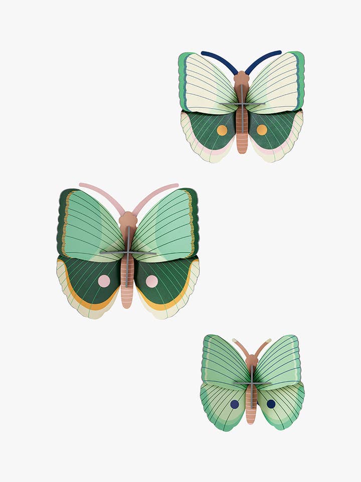 3D Wall Art - Butterflies- Fern Striped Butterflies set of 3 for wholesale by Studio Roof