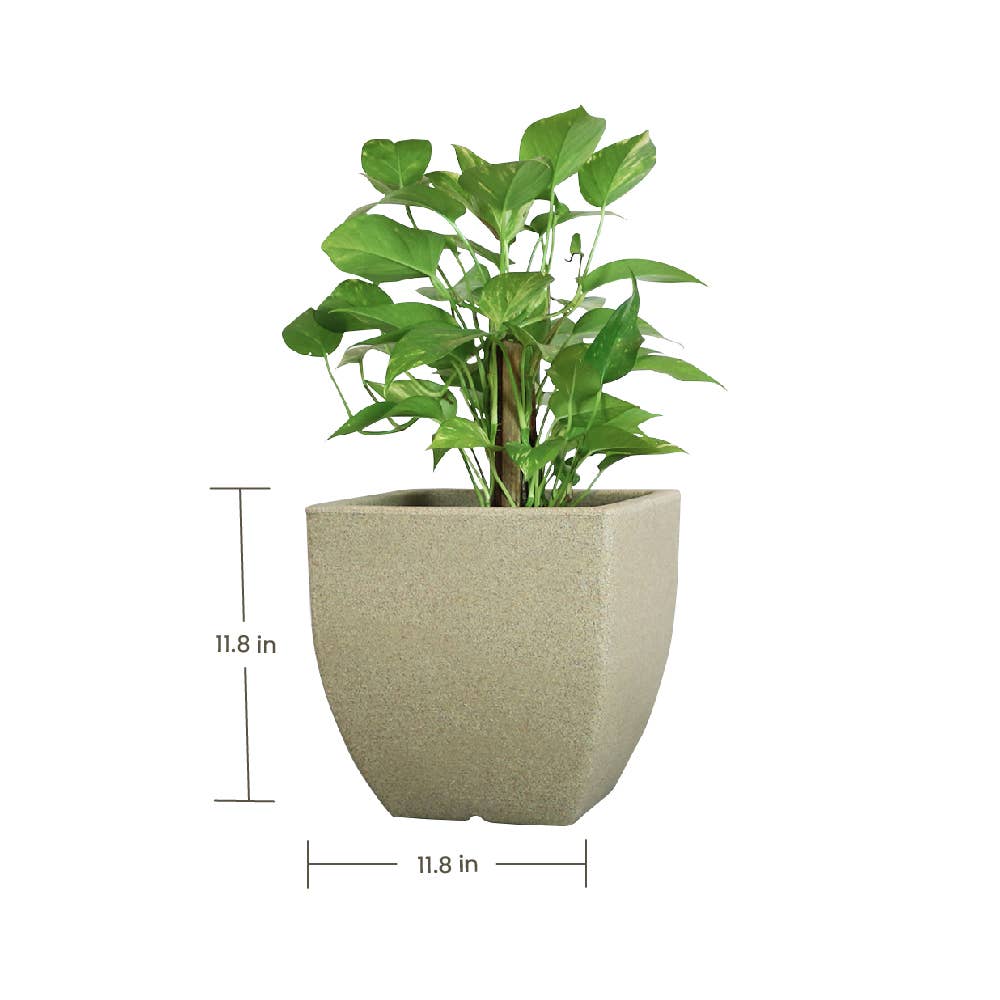 Ecobo - Wholesale Plant Pot - Capri Pot Planter11